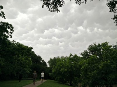 IMG_20150525_182146[1].jpg