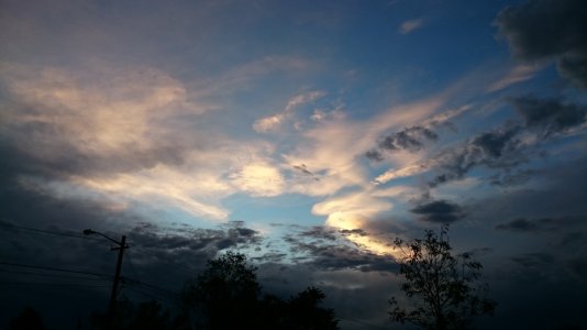 DSC_1960.jpg