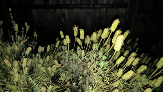 20150814_230442.jpg