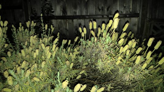 20150814_230501.jpg