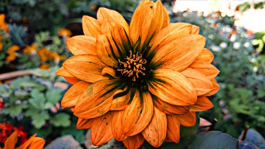 PicsArt_1437607671877[1].jpg