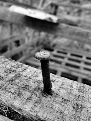 The Nail.jpg