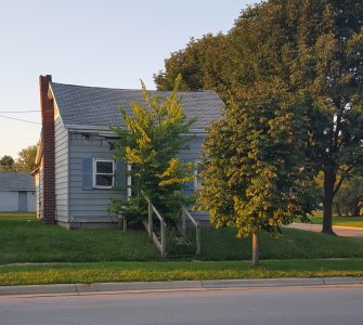 treehouse.jpg