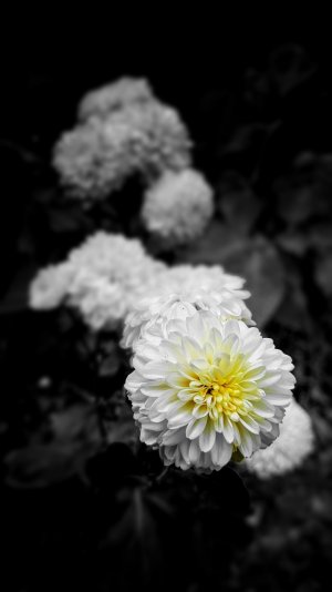 20150718_125500-01.jpg