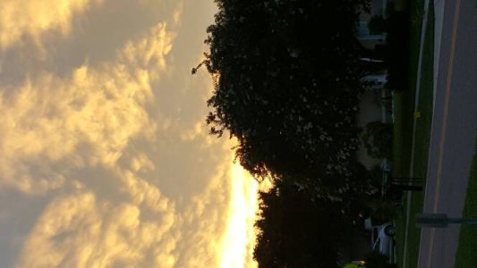 20150707_203106.jpg