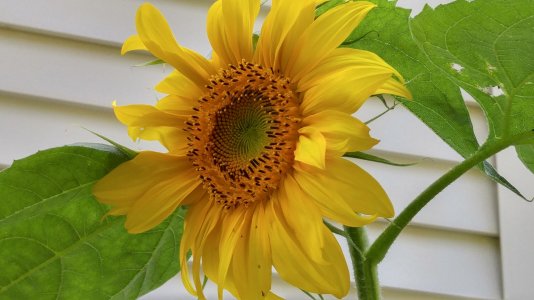 20150816_145530_HDR.jpg