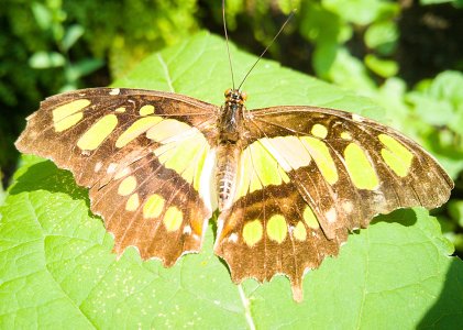 0830151254a.jpg