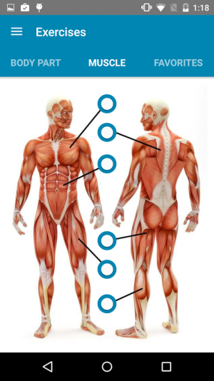 fitway2.png fitway2.png