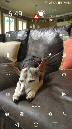 Screenshot_2015-07-27-18-49-21.jpg