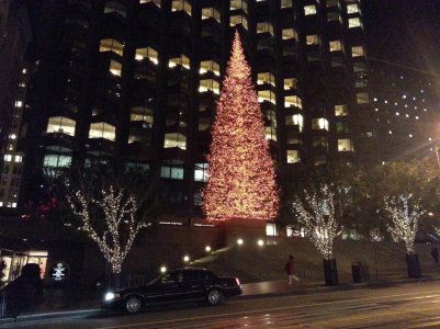 Pic Christmas Tree.jpg