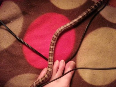 uploadfromtaptalk1356131192182.jpg uploadfromtaptalk1356131192182.jpg