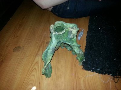 uploadfromtaptalk1356135171243.jpg uploadfromtaptalk1356135171243.jpg