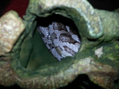 uploadfromtaptalk1356135198500.jpg uploadfromtaptalk1356135198500.jpg