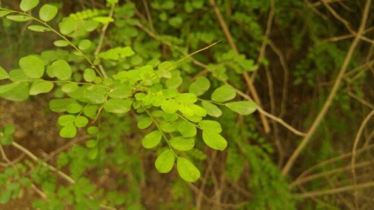 20150827_165442.jpg