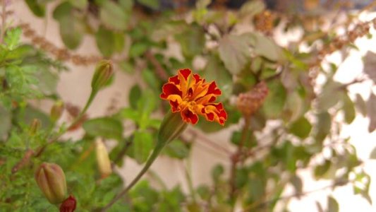 20150822_104314.jpg