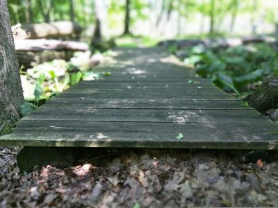 Boardwalk.jpg