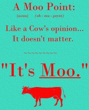 moo_point_cow.jpg