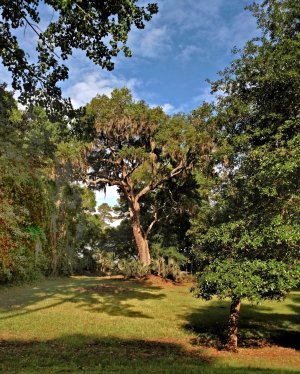 perf clear _hdr (2).jpg