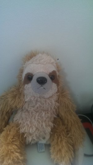 IMAG0316.jpg IMAG0316.jpg