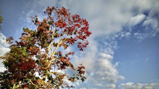 IMG_20141007_085902325_HDR.jpg