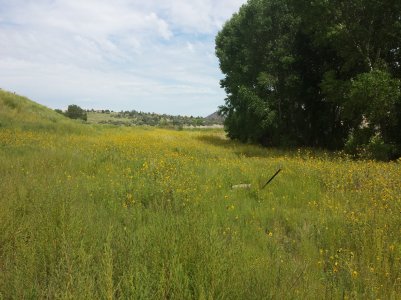 20130907_125040.jpg