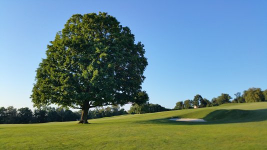 20150723_193423.jpg