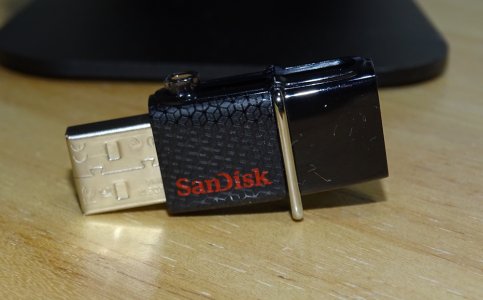 sd01.jpg