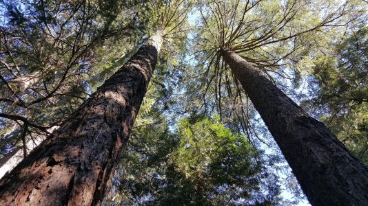 20150725_183146.jpg