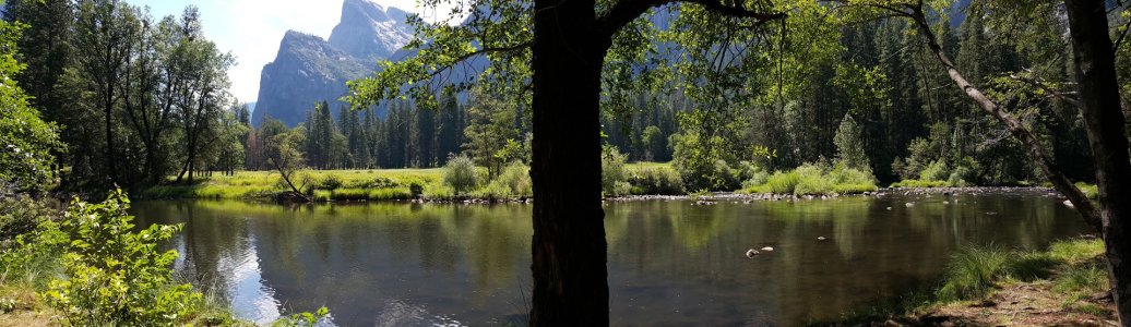 20150706_103821.jpg