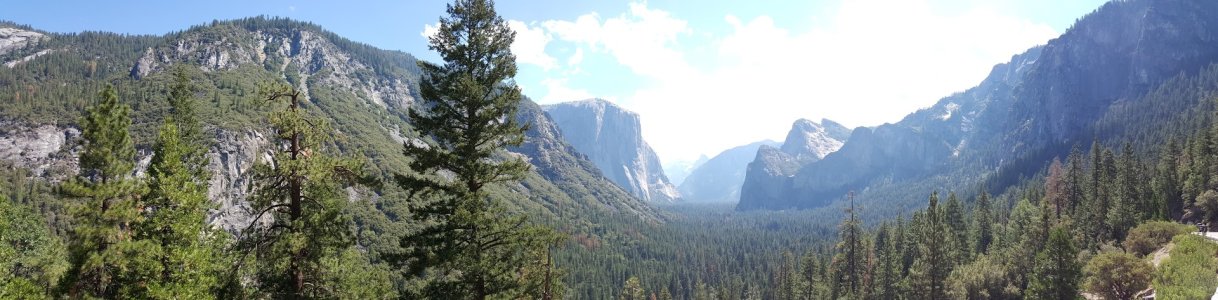 20150706_105903.jpg