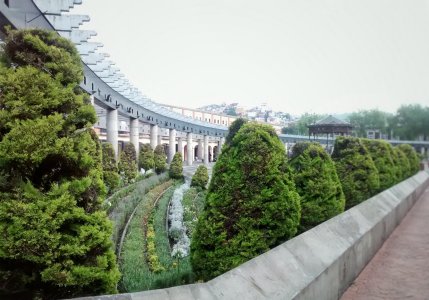IMG_20150719_101307-1-03.jpg