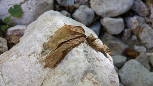 20150909_162356.jpg