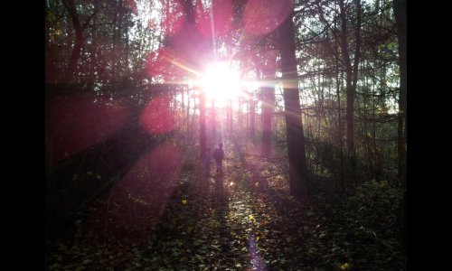 2011-11-13 14.45.33.JPG