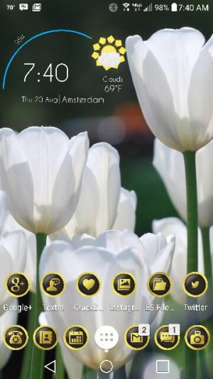 36248.jpg