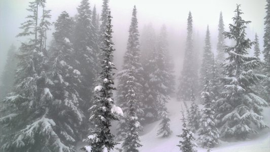 IMAG0460.jpg