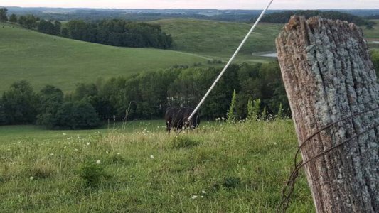 20150820_200118.jpg