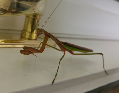 20150912_093155.jpg