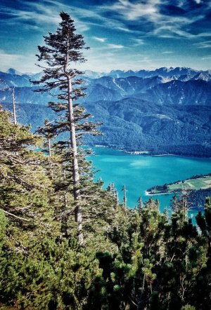 20150912_170015_HDR-01.jpg