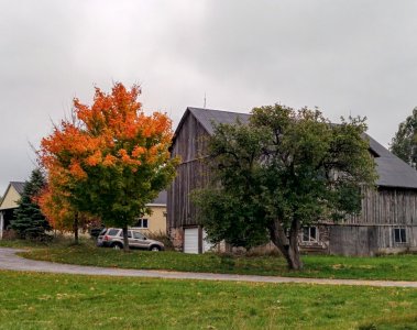 IMG_20141013_150046.jpg