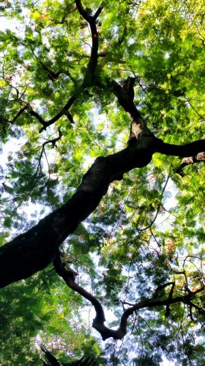20150827_101520-01.jpg