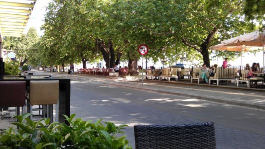 IMAG0174.jpg
