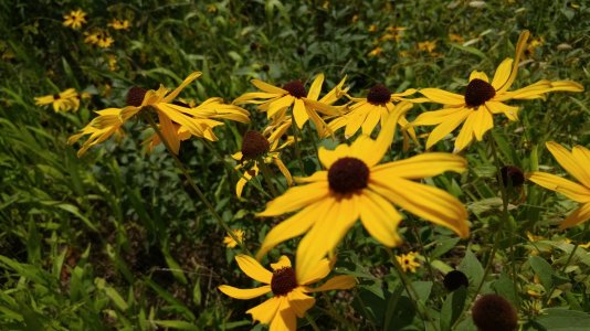 20150823_113446.jpg
