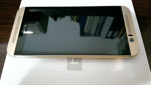 IMAG1064.jpg