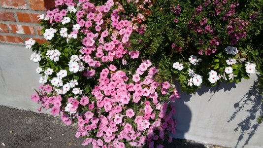20150927_120348.jpg