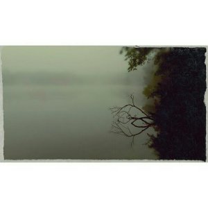 branch.jpg