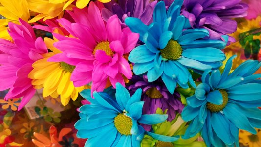 20150913_125659.jpg