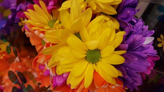 20150913_125712.jpg