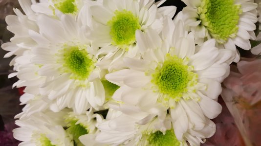 20150913_125732.jpg