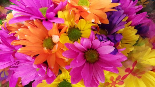 20150913_125813.jpg