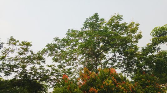 2015-09-14 09.10.42 1.jpg